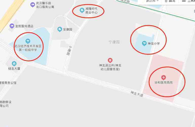 武汉神龙汽车 武汉神龙汽车公司一厂地块将被拍卖，将引入4家500强公司