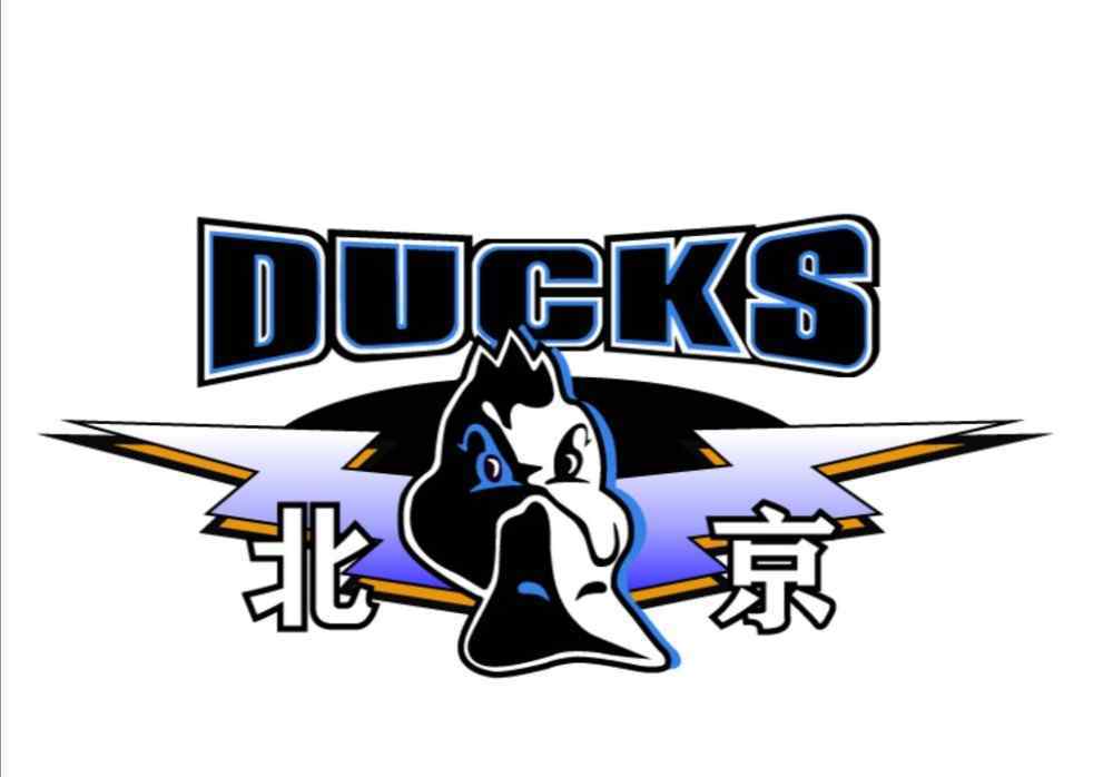 解立彬 本土解立彬、外教帕亚加尼谁更适合目前3连败的北京首钢？