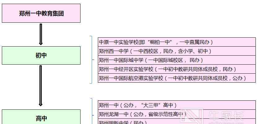 郑州一中分校 郑州一中教育集团初高中一体化培养有多强？一组数据、几张图清晰直观！