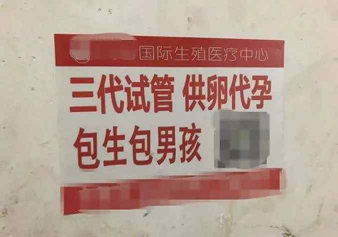 央视评代孕弃养:法律道德皆难容 具体事件详情是怎样的