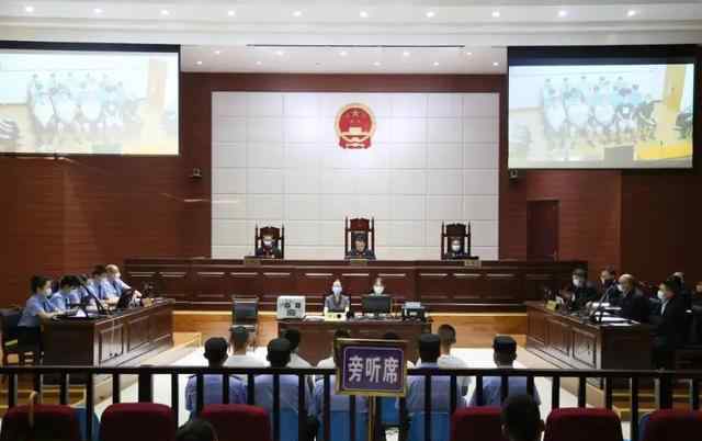 罗熙是哪里人 四川广元：盘踞苍溪多年为非作恶 罗熙等15人涉黑团伙覆灭
