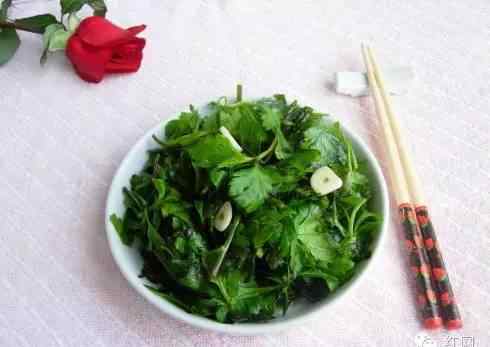野生蒿子的功效 三月，让我们将湖南整个春天炒进菜里！文章配图