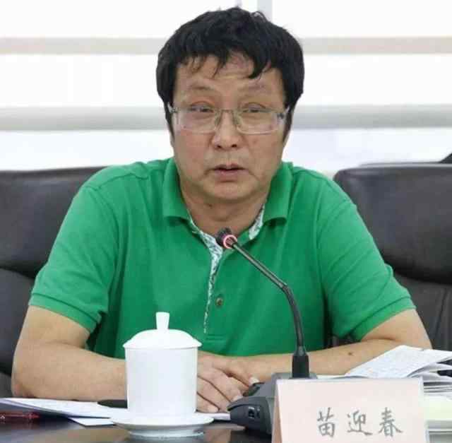 苗迎春 苗迎春的黑白人生：记者站站长，涉黑、资产过亿，豪车多部