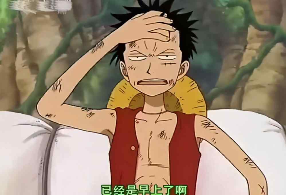 两年后的索隆 两年后的索大接近无敌？甚至超越王路飞？呵呵！诸君真的想多了！
