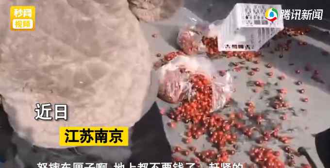 男子错拿300元一箱车厘子 退换被拒怒摔60箱！网友：脾气发得有点贵！