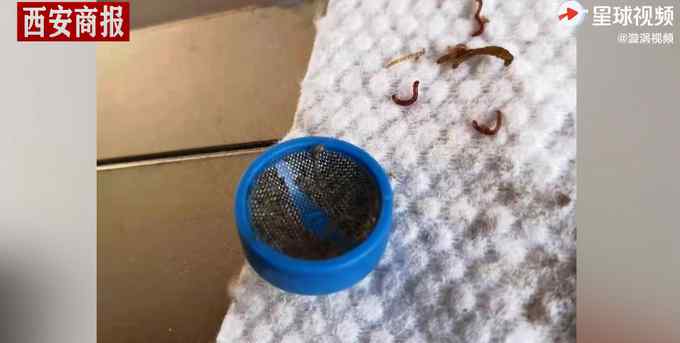 湖南一居民家自来水现大量活虫？自来水厂解释原因