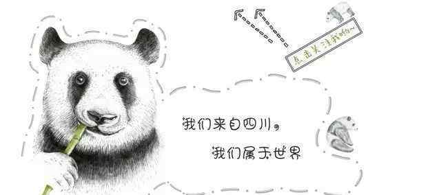 熊毛病 大熊猫生病了，怎么办？