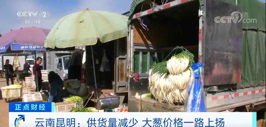山东大葱价格 “葱”忙涨价！短短几天，山东产大葱批发价翻倍！文章配图