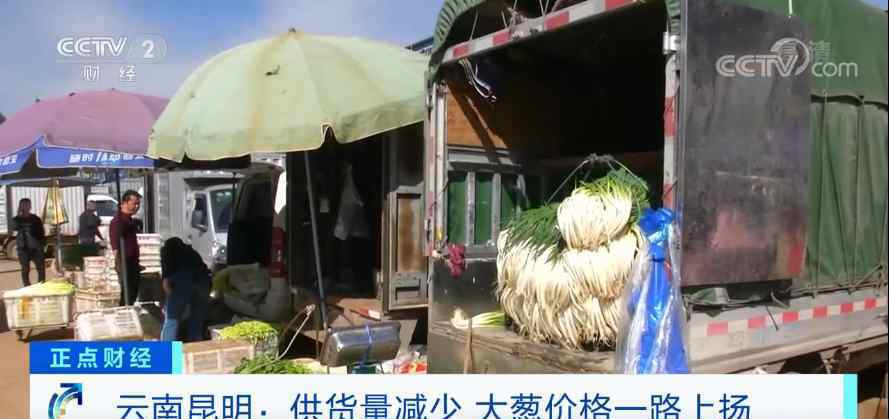 山东大葱价格 “葱”忙涨价！短短几天，山东产大葱批发价翻倍！