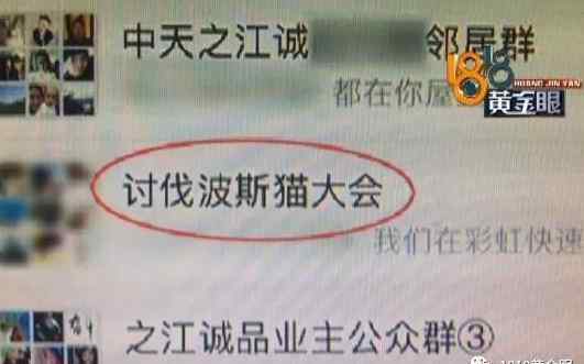 房东的猫没有太多烦恼 男子养了二十几只猫和一只狗 邻居们很烦恼