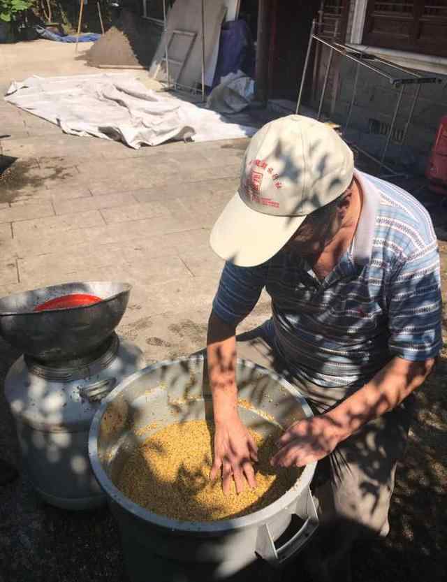 腌桂花 早晨4点就开始忙 杭州满觉陇开腌甜蜜糖桂花