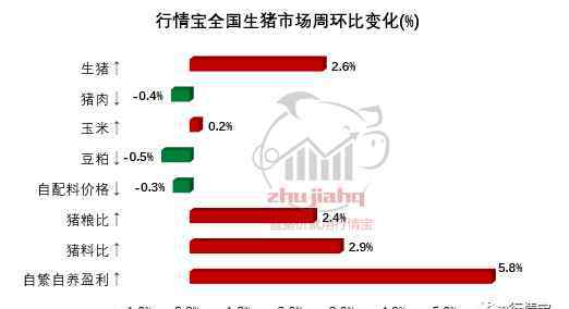 猪价预测 最新猪价预测：规模场中旬会大批出猪？下周猪价涨还是跌？