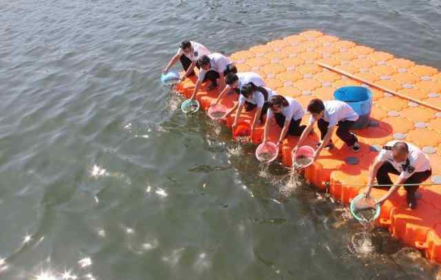 灭扫利 浙江这几个吃货太狠 用农药毒死江鱼后捞起来吃