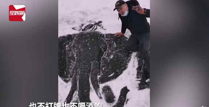 东北男子在冰面上浮雕动物 一看成品太惊艳！网友：高手在民间