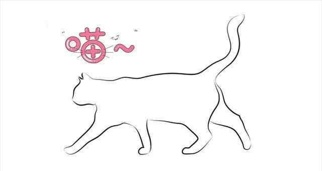 猫报复性撒尿 猫咪在床上尿尿是什么心理？并不是我们认为的样子文章配图