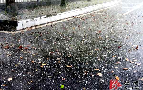 龙山红网 湘西龙山下起了冰雹 29日还将现风雨天气