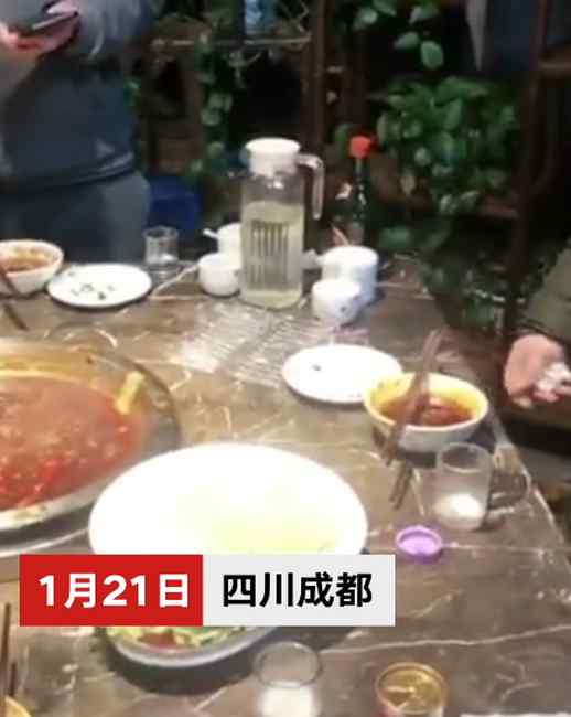 吃火锅时头顶突然掉下老鼠 厨师淡定徒手拎走踩死 网友却说细思极恐！