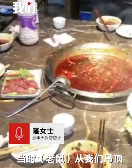 吃火锅时头顶突然掉下老鼠 厨师淡定徒手拎走踩死 网友却说细思极恐！