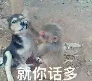 选购冰箱 如何选购冰箱，看完这篇就全懂了！