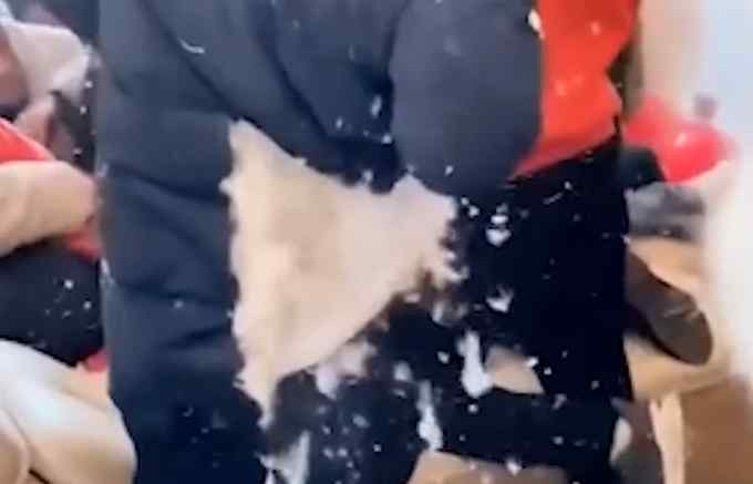 男子帮朋友迎亲挤门划破羽绒服 瞬间满屋“飘雪” 网友：是真羽绒