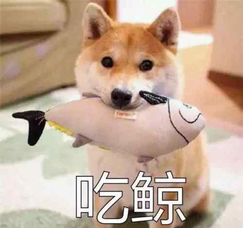官禄宫 紫微斗数：从官禄宫看另一半的长相和特质！文章配图