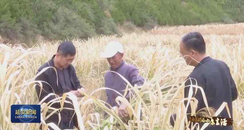 刘连山 延安水务环保集团公司：发展产业出实招 真情帮扶见实效