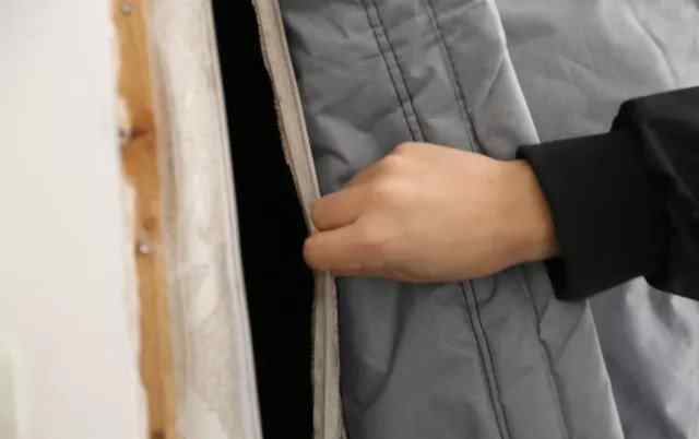 高冠变色龙 嘉兴一小伙违法贩卖变色龙 还养了一屋子蟑螂