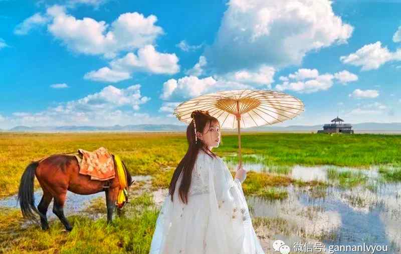 甘南吧 姑娘，有空的话，就来甘南吧！