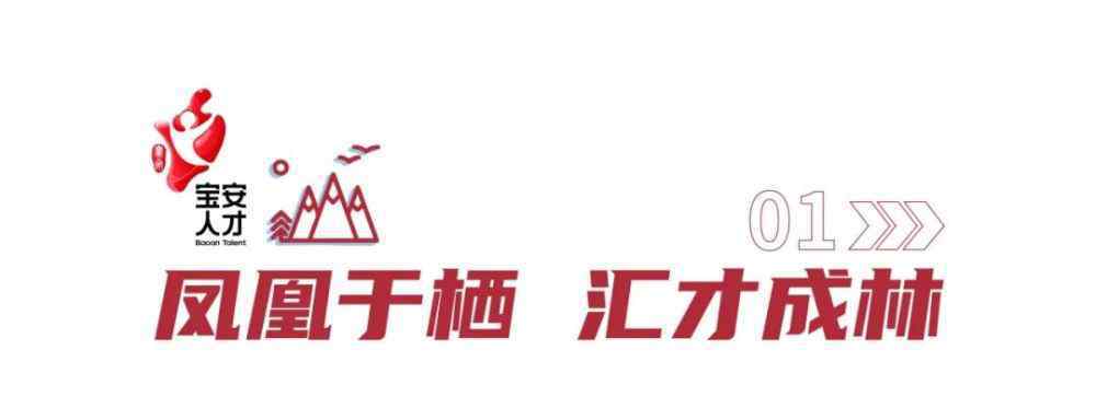 宝安公园 首次曝光！720°全景身临其境，带你漫游宝安人才林公园