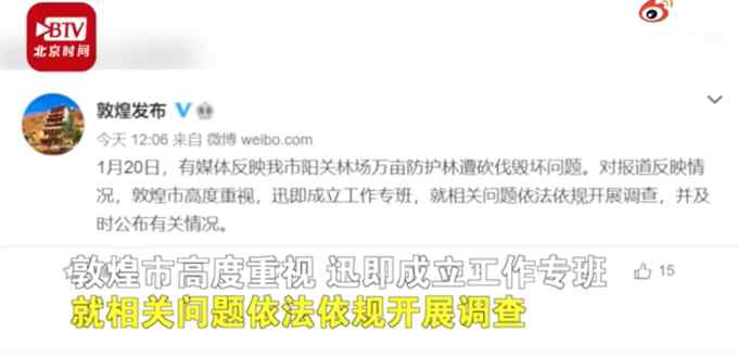 为阻止与葡萄争夺水分和养分？甘肃成立调查组调查敦煌防护林被毁