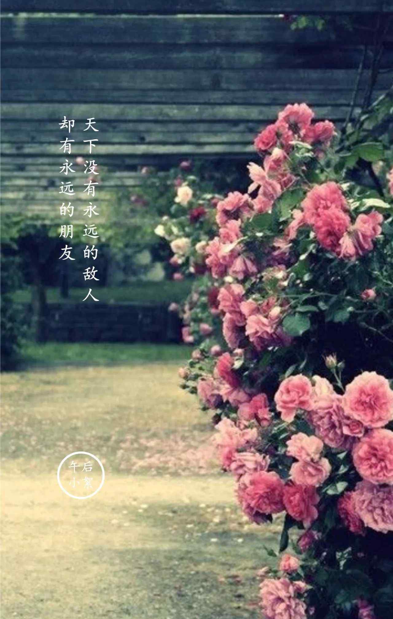 敌人的力量 一言 | 有时候， 敌人比朋友的力量更大