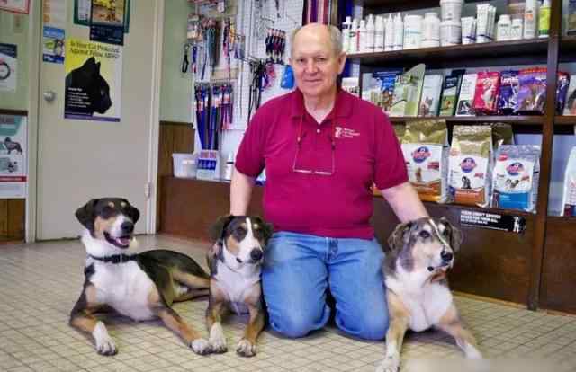 复制狗 老人花十万美金克隆爱犬两次 养了三只一样的狗狗！