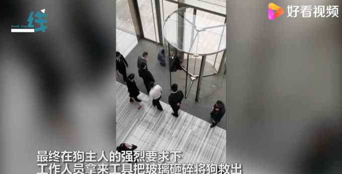 宠物狗被卡旋转门女子倒地哭喊！物业无奈拆门：违规进入还不牵绳