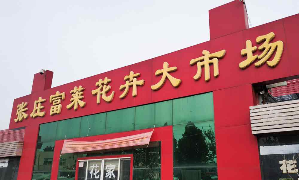 济南花卉市场 济南最大的花卉市场在北外环，富莱花卉里面别有一番洞天