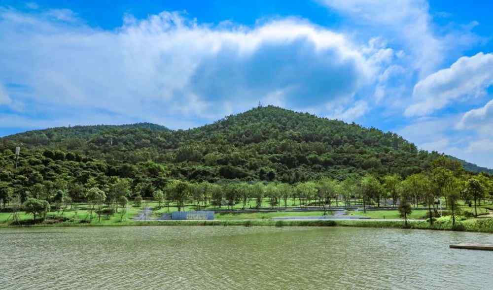 宝安公园 首次曝光！720°全景身临其境，带你漫游宝安人才林公园