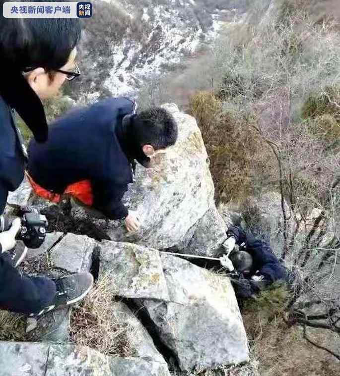 山西警方成功解救受伤金钱豹 这张照片太萌了！网友：请严惩偷猎者