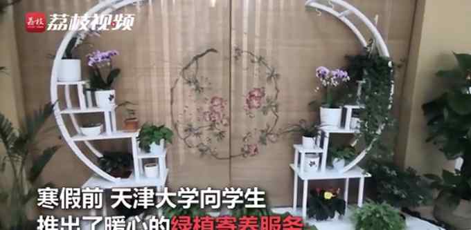 贴心！天津大学为学生提供寒假绿植寄养服务 网友直呼别人家的学校