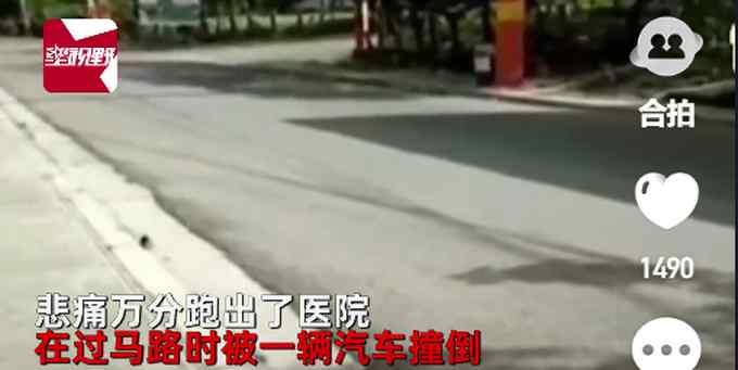 多米尼加女医生急诊上班看到运进来一具尸体 仔细一看瞬间崩溃