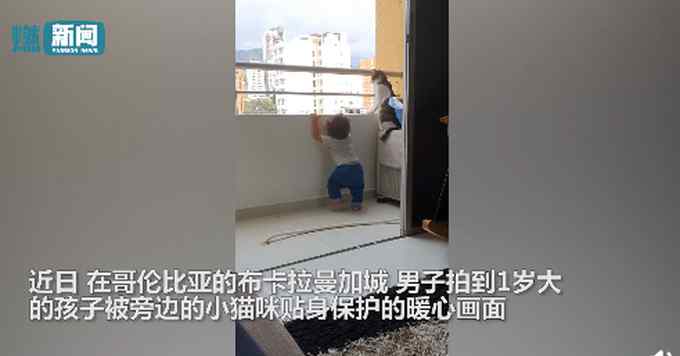 操碎心！国外1岁孩子阳台抓栏杆玩 猫保姆不顾危险贴身保护