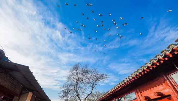 2019全国空气质量排名 全国空气质量大排名北京排第几？“天帮忙”更要“人努力”