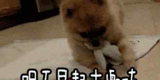 无锡安居客 2019开年房价又涨了？无锡1268个热门小区的价格全在这里了！