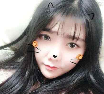 团团和陈死狗 一条小团团和陈死狗什么关系 两个人有没有在一起