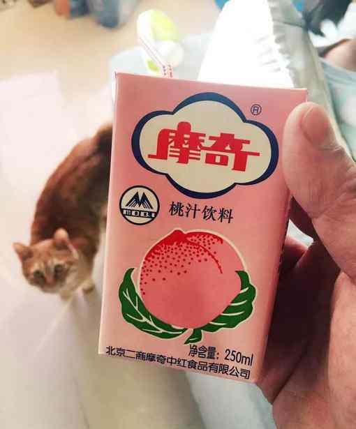 摩奇 摩奇桃汁为何又买不到了？厂家觉得不能光靠情怀
