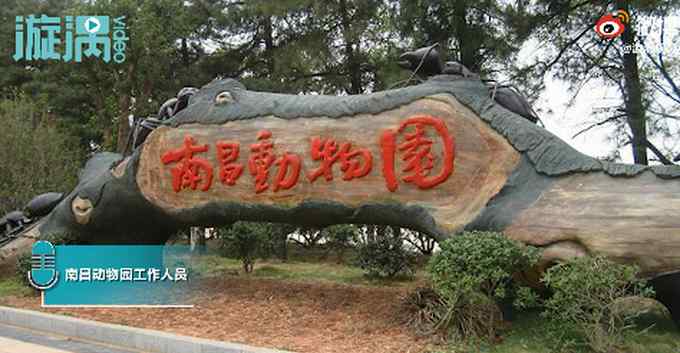 江西南昌一男童不慎喂骆驼吃干燥剂致呕吐 园方回应了！