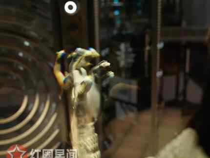蚁人2结局什么意思 蚁人2结局什么意思 彩蛋和复联4有什么关系