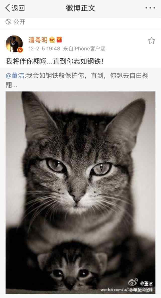 潘粤明的微博 潘粤明连续7年微博为儿子庆生 网友看到替他心疼