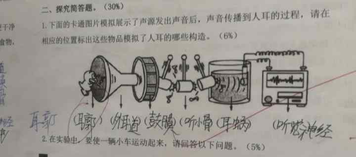 “耳廓还是耳郭？课本有没有写错？”杭州家长一路较真 结果令人意外！