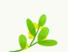 植树节的宣传语 2019年全民义务植树活动宣传标语