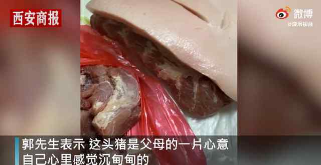 男子回家探亲离别时爸妈送活猪 父母的爱“沉甸甸” 事情经过真相揭秘！