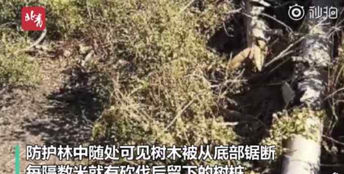 环境部回应敦煌防护林被毁事件：如有失职将严肃问责